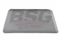 BSG 70975039 Kapı Bandı Ön