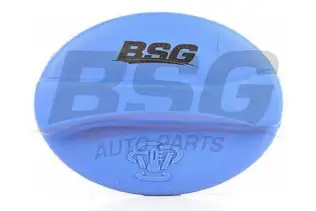 BSG 90551001 Radyatör Yedek Su Depo Kapağı