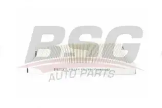 BSG 30145019 Polen Filtresi