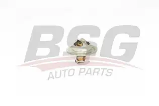 BSG 90125001 Termostat