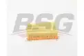 BSG 15135018 Hava Filtresi
