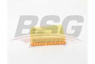 BSG 15135018 Hava Filtresi