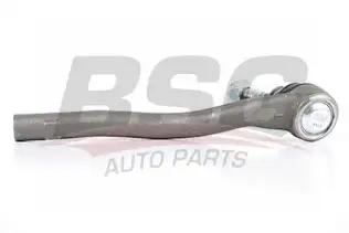 BSG 60310079 Rot Başı Sol