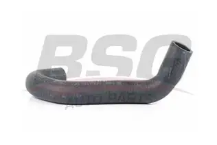 BSG 65720020 Radyatör Hortumu