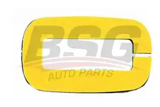 BSG 30995027 Kapı Menteşe Fiberi Arka