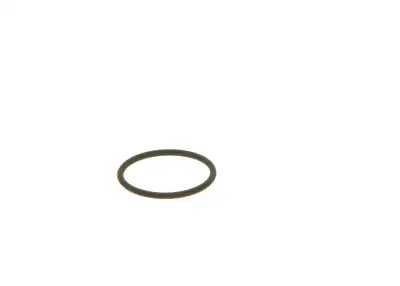 BOSCH F00VC38002 O-Ring - 23. Görsel
