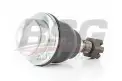 BSG 30310114 Rotil Alt