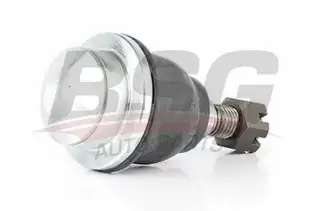 BSG 30310114 Rotil Alt