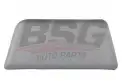 BSG 70975038 Kapı Bandı Ön