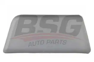 BSG 70975038 Kapı Bandı Ön
