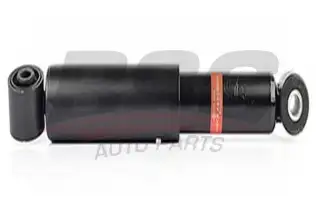 BSG 60300017 Amortisör Arka
