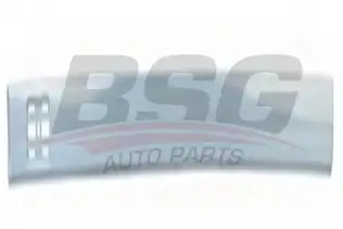BSG 65925018 Kapı Bandı Ön Sağ