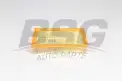 BSG 16135005 Hava Filtresi