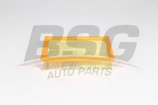 BSG 16135005 Hava Filtresi