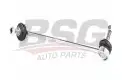 BSG 15310059 Viraj Askı Rotu Ön Sol