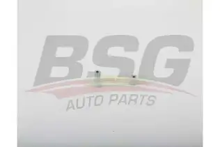 BSG 30109041 Palet