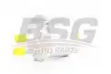 BSG 90130006 Yakıt Filtresi