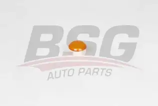 BSG 30810044 Çamurluk Sinyali