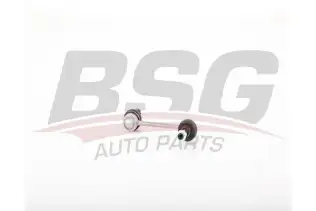 BSG 25310044 Viraj Askı Rotu Ön