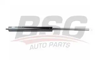 BSG 60980011 Motor Kaput Amortisörü