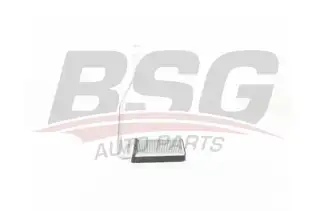 BSG 40530019 Kalorifer Radyatörü