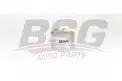 BSG 60130012 Yakıt Filtresi