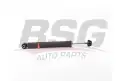 BSG 25300004 Amortisör Arka