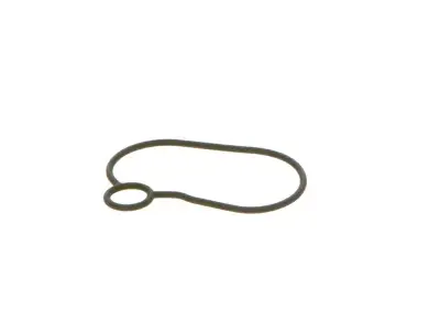 BOSCH 2440210054 O-Ring - 18. Görsel