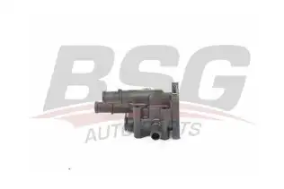 BSG 65126003 Termostat Gövdesi