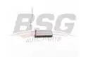 BSG 40530021 Kalorifer Radyatörü