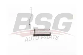 BSG 40530021 Kalorifer Radyatörü