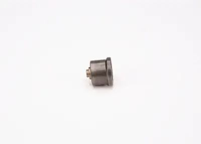 BOSCH 2418554057 Pompa Valfi - 2. Görsel