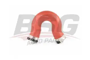 BSG 60720212 Turbo Hortumu