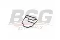 BSG 15116008 Yağ Filtre Hazne Contası
