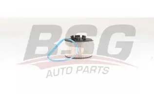 BSG 65130011 Yakıt Filtresi