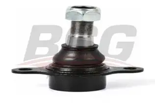 BSG 30310095 Rotil Alt
