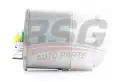 BSG 60130007 Yakıt Filtresi