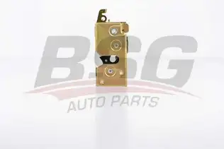 BSG 30975005 Kapı Kilidi Arka
