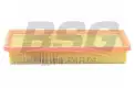 BSG 70135006 Hava Filtresi