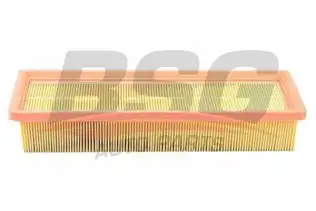 BSG 70135006 Hava Filtresi