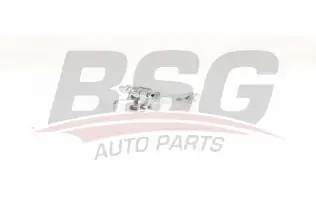 BSG 75975004 Kapı Gergisi Ön