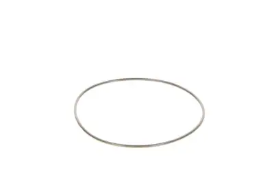 BOSCH 2440210044 O-Ring - 15. Görsel