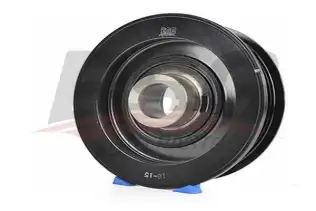 BSG 65170005 Krank Kasnağı