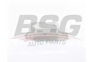 BSG 15506037 Yağ Soğutucusu