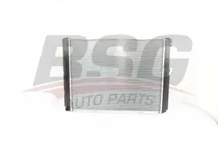 BSG 60520027 Su Radyatörü