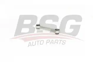 BSG 90310162 Viraj Askı Rotu Ön