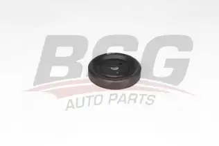 BSG 15501001 Devirdaim Kasnağı