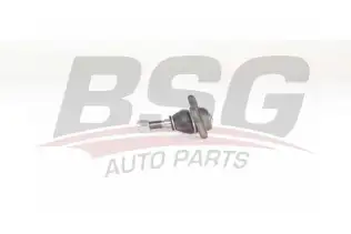 BSG 75310045 Rotil Alt