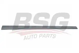 BSG 30924029 Kapı Bandı Ön Sol