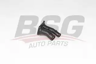 BSG 30126018 Termostat Komple